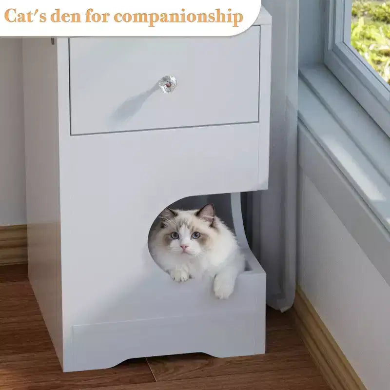 Modern Makeup Vanity with Lights and Charging Station, Small Vanity Desk with Cat Hole and Multi-Tier Storage Shelves, White